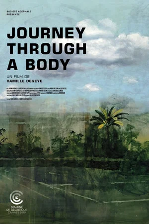 Постер: Journey Through a Body