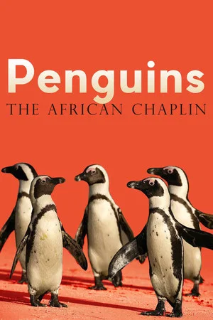 Постер: Penguins: The African Chaplin