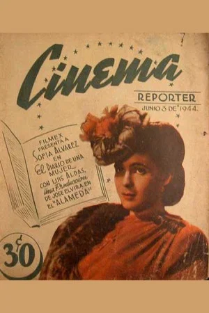 Постер: Diario de una mujer