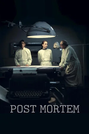 Постер: Post Mortem