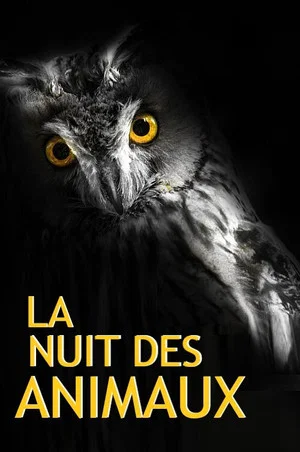 Постер: La Nuit des Animaux