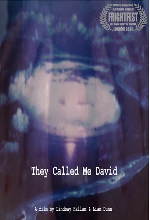 Постер: They Called Me David
