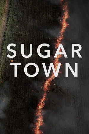 Постер: Sugar Town