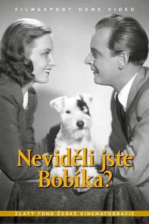 Постер: Neviděli jste Bobíka?
