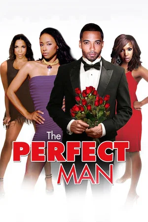 Постер: The Perfect Man