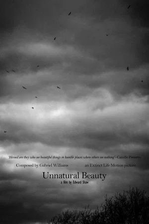 Постер: Unnatural Beauty