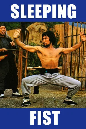 Постер: Sleeping Fist