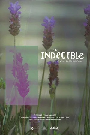 Постер: De lo Indecible