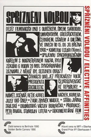 Постер: Elective Affinities