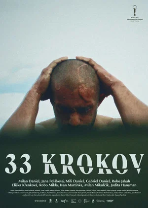 Постер: 33 Steps