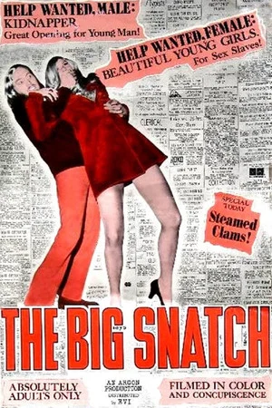 Постер: The Big Snatch