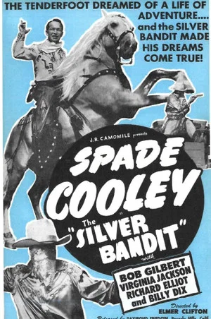 Постер: The Silver Bandit