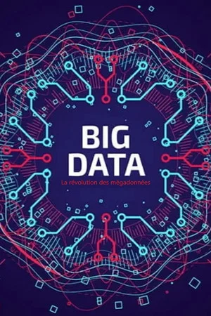 Постер: Big Data - La révolution des mégadonnées