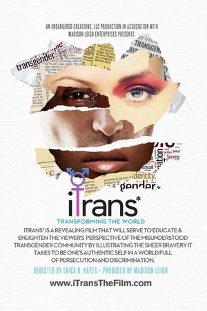 Постер: iTrans*