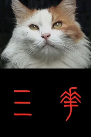 Постер: Sanhua