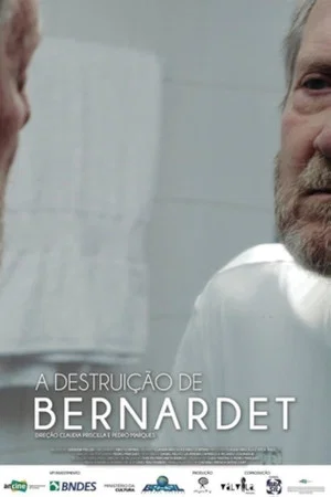 Постер: The Destruction of Bernardet