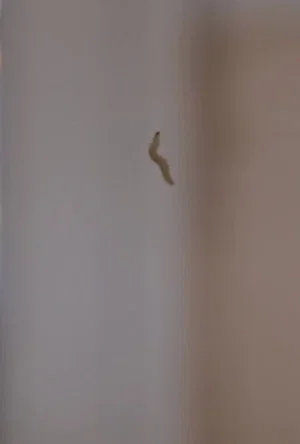 Постер: Second Chance