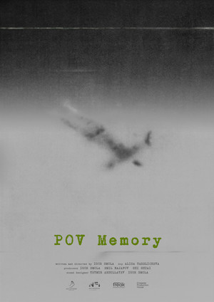 Постер: Прошлое POV
