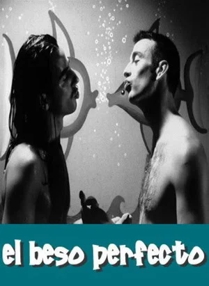 Постер: The Perfect Kiss