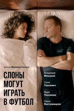 Постер: Слоны могут играть в футбол