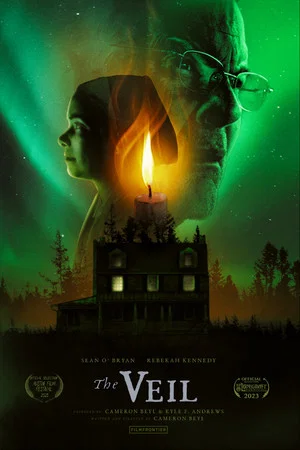 Постер: The Veil