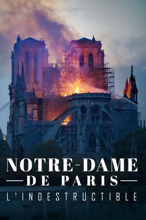 Постер: Notre-Dame de Paris, l'indestructible