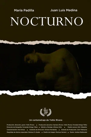 Постер: Nocturne