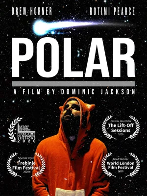 Постер: Polar