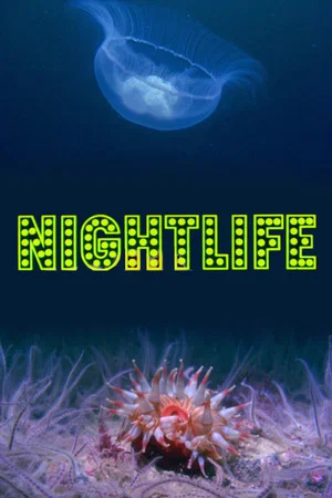 Постер: Nightlife