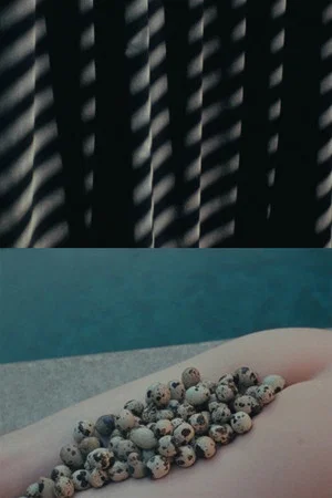 Постер: In Its Form Asleep