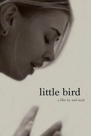 Постер: Little Bird