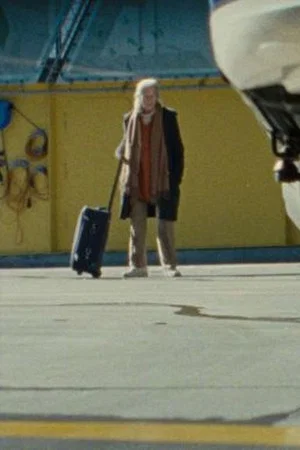 Постер: Terminal