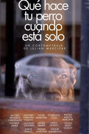 Постер: Qué hace tu perro cuando está solo