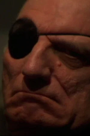 Постер: Murdoch's Other Eye