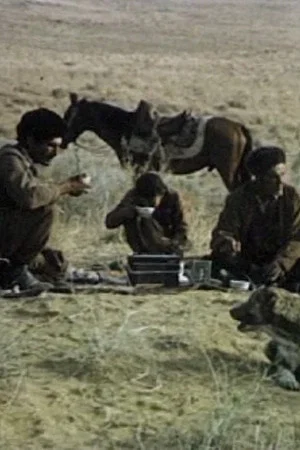 Постер: Shepherd's Friend