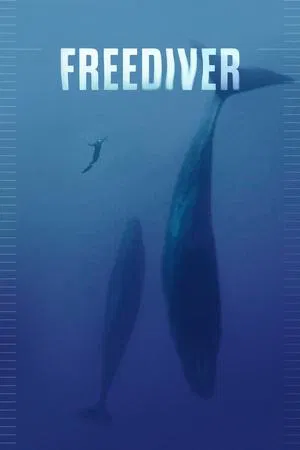 Постер: Freediver