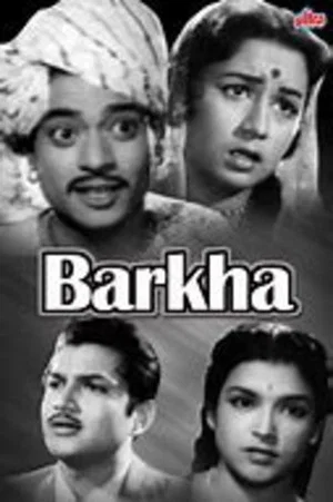 Постер: Barkha