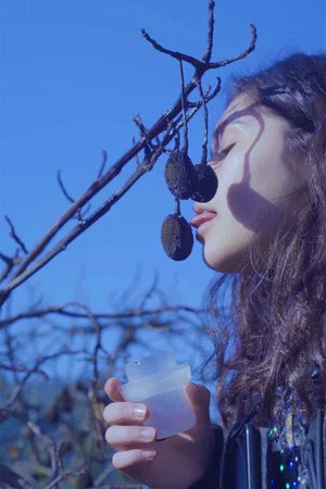 Постер: The Ballad of the Dry Mermaids