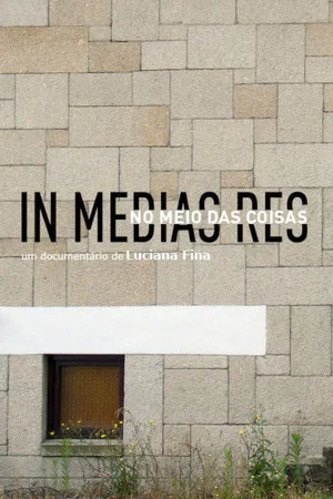 Постер: In Media Res