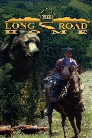 Постер: The Long Road Home