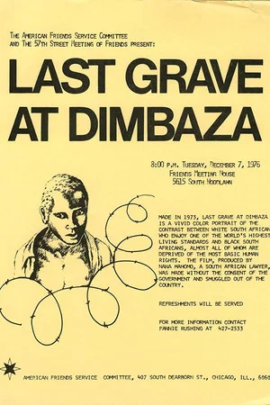 Постер: The Last Grave at Dimbaza