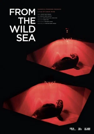 Постер: From the Wild Sea