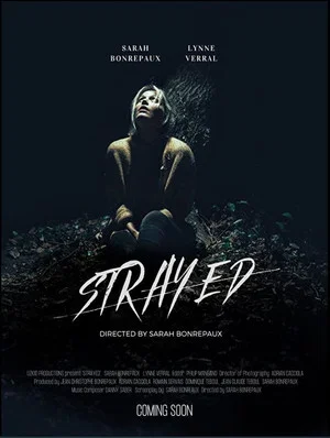 Постер: Strayed