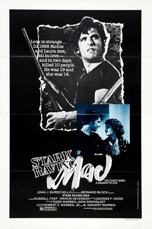 Постер: Stark Raving Mad