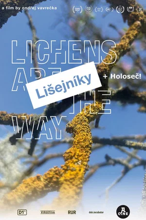Постер: Lichens Are the Way