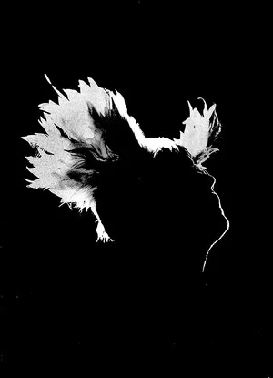 Постер: M - Les saisons de passage