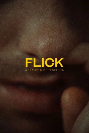 Постер: Flick