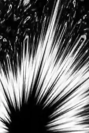 Постер: Black Noise White Silence