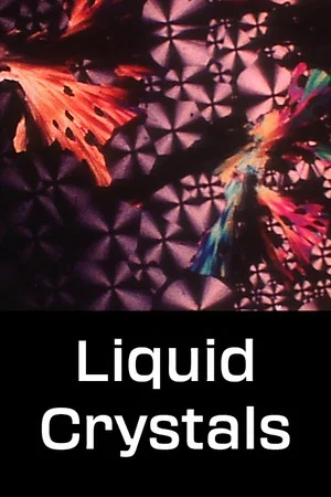 Постер: Liquid Crystals