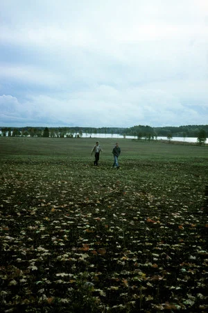 Постер: Small Game
